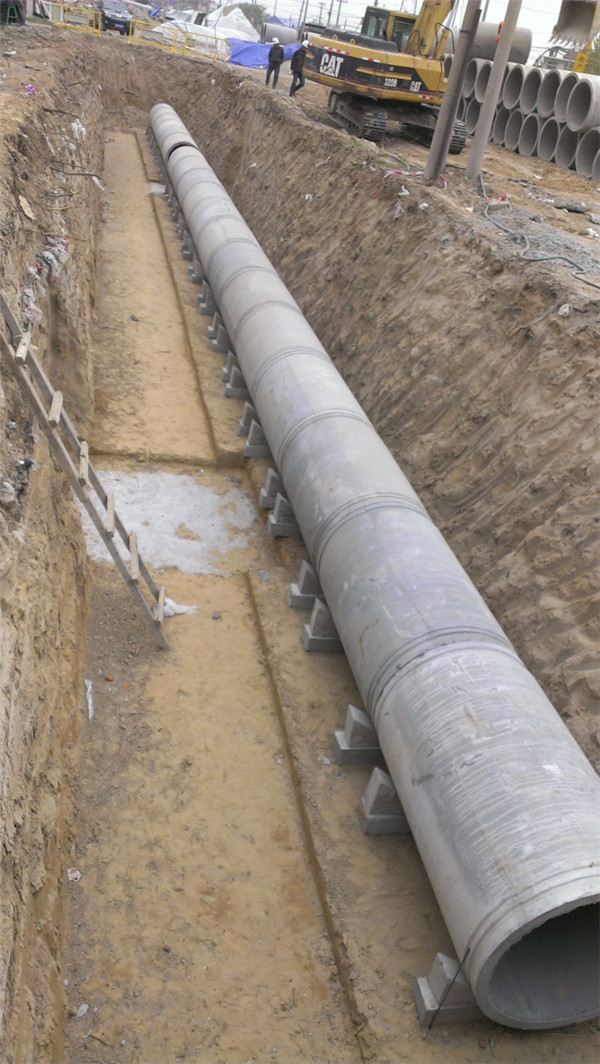 �ڲ�tengbo988-����Ϊ��רҵ����