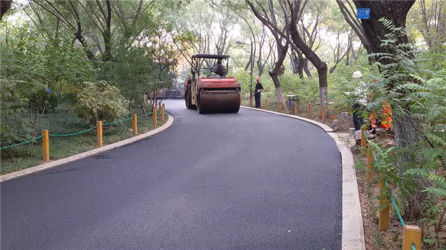 �ڲ�tengbo988-����Ϊ��רҵ����