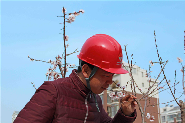 �ڲ�tengbo988-����Ϊ��רҵ����