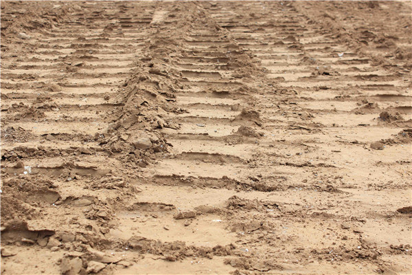 �ڲ�tengbo988-����Ϊ��רҵ����