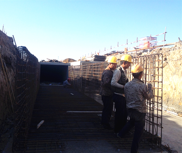 �ڲ�tengbo988-����Ϊ��רҵ����