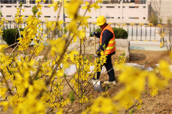 �ڲ�tengbo988-����Ϊ��רҵ����