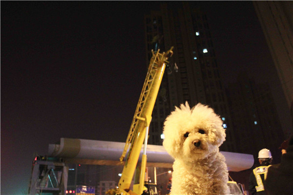 �ڲ�tengbo988-����Ϊ��רҵ����