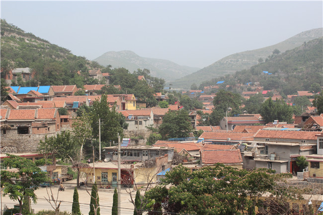 腾博tengbo988-诚信为本专业服务