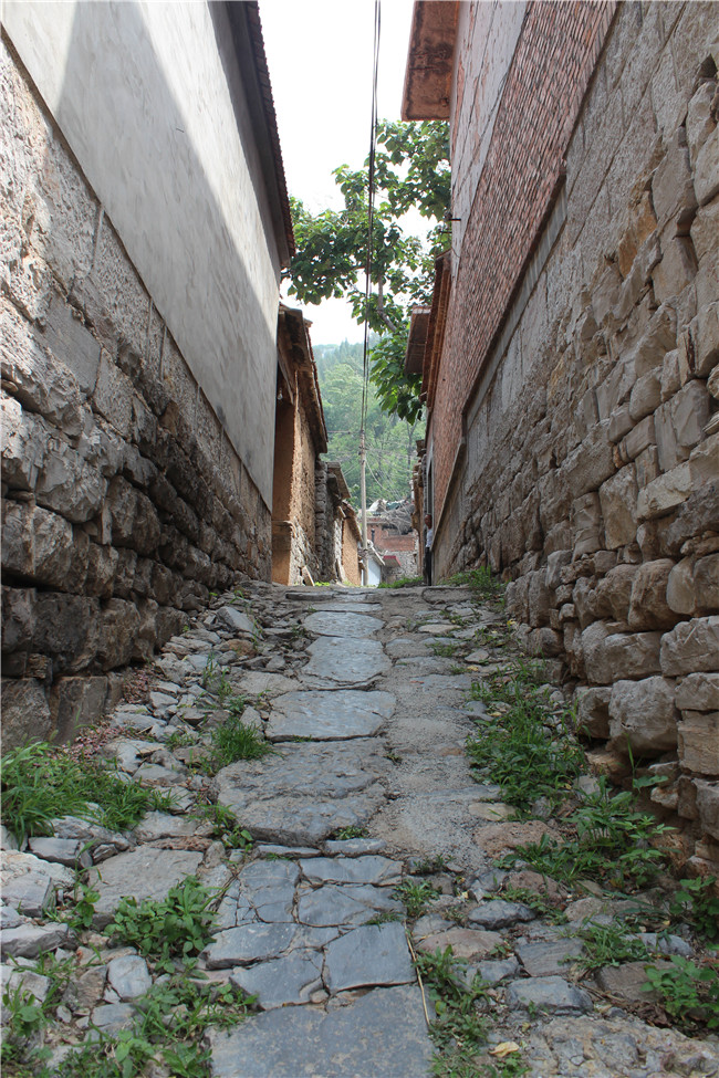 腾博tengbo988-诚信为本专业服务