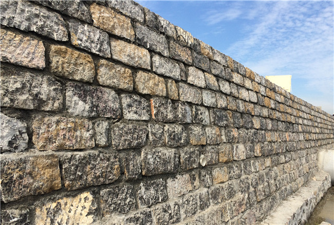 �ڲ�tengbo988-����Ϊ��רҵ����