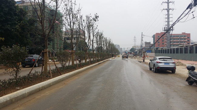 �ڲ�tengbo988-����Ϊ��רҵ����