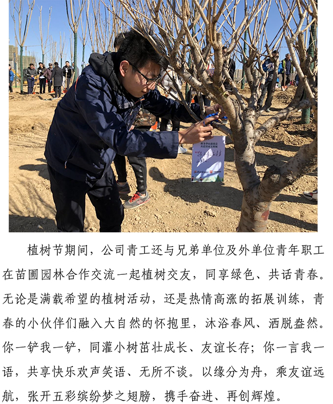 �ڲ�tengbo988-����Ϊ��רҵ����